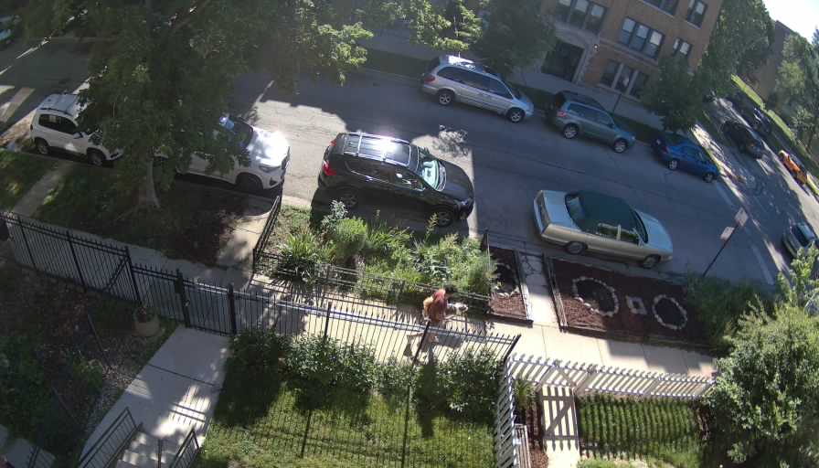 Reolink Camera One_00_Reolink Home Hub One_20260612084152.jpg